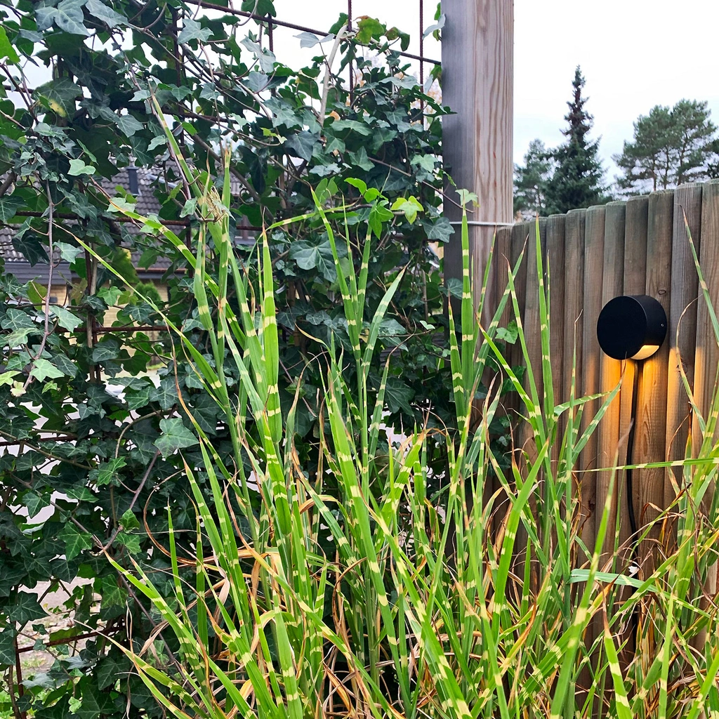 Nero Downlight 140lm Ø9cm Svart