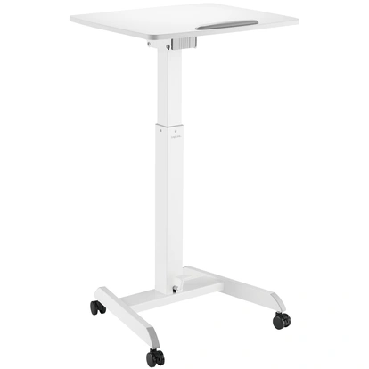 Adjustable Sit/Stand Workstation