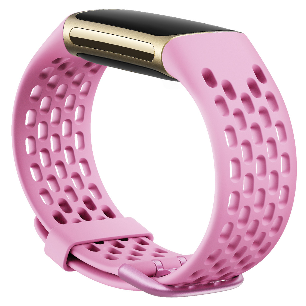 Charge 5/6 Sport Band Frosted Lilac (L)