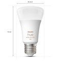 Hue White Color Ambiance E27 800lm 2-pack