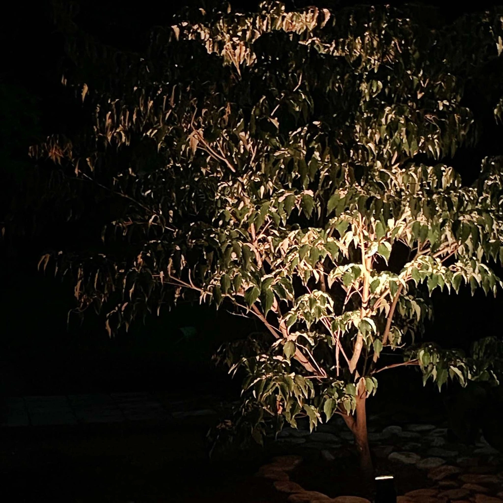 Nova Trädgårdsspot Varmt till kallt ljus Sv