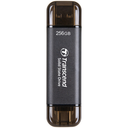 Portabel SSD ESD310C USB-C 256 GB (R1050/W950) Svart