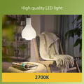 LED E27 Normal 4W (60W) Frostad 840lm 2700K Energiklass A