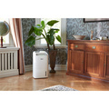 Hybrid avfuktare/luftrenare AD30G  Active ION HEPA filter