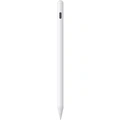 SWMAGICPENCIL Smartpenna till iPad