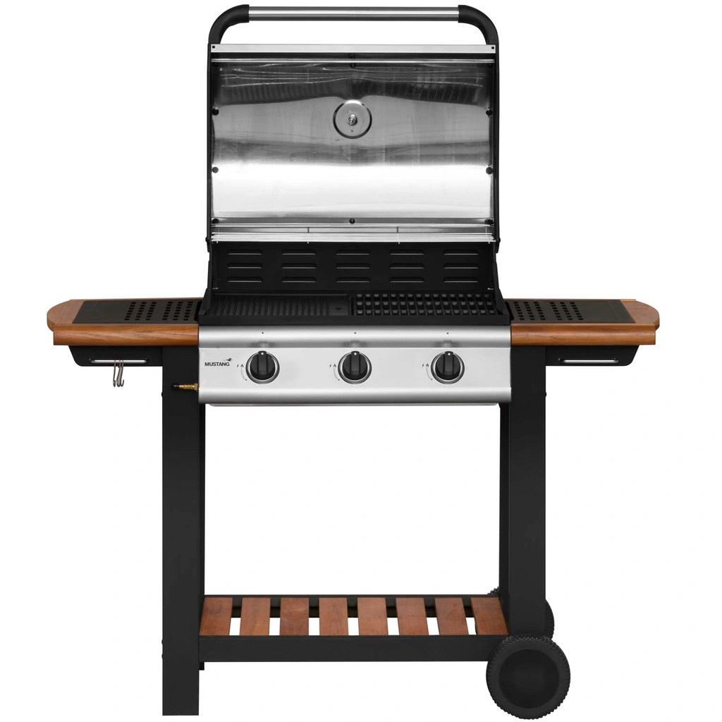 Gasgrill Greenville 3
