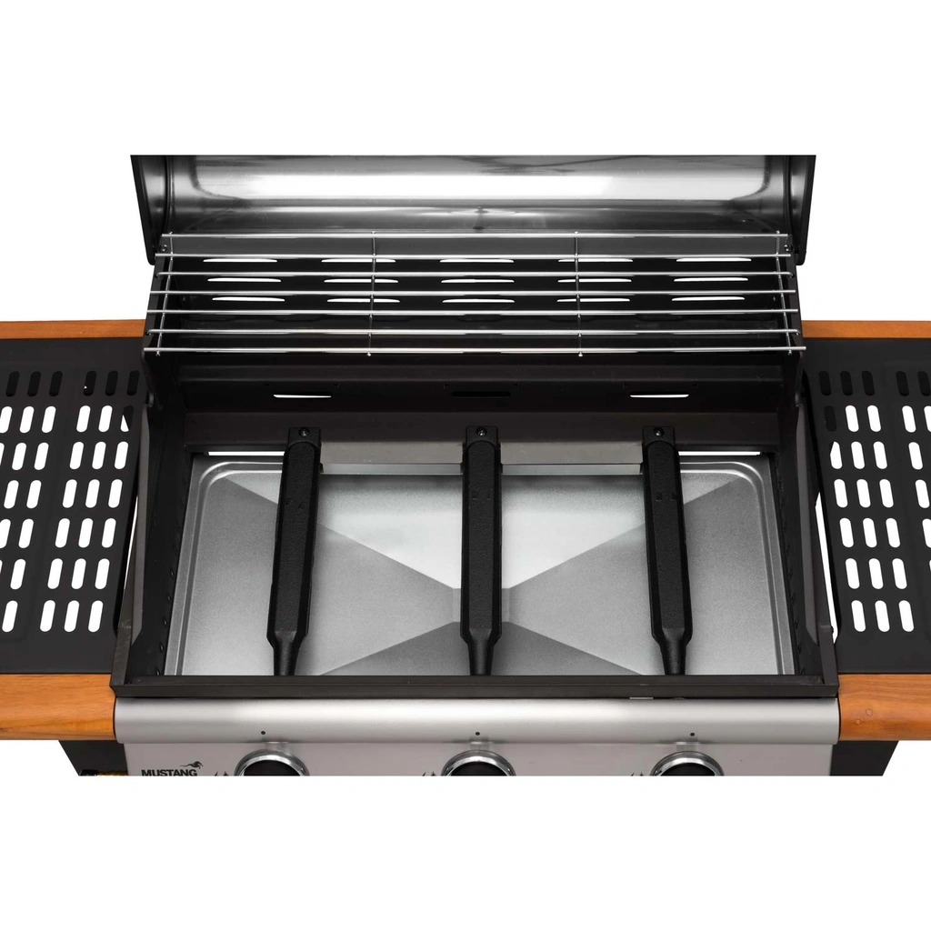 Gasgrill Greenville 3