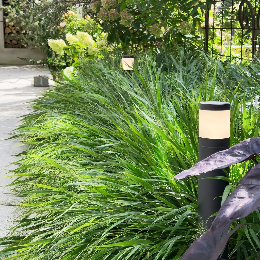 Polly Pollare 38cm 350lm 3000K 5W Antracit