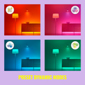 WiFi Pole Golvlampa RGB Multicolor 150cm