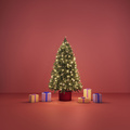 WiFi Smart LED Fairy Light Ljusslinga