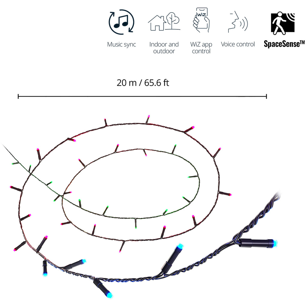 WiFi Smart LED Fairy Light Ljusslinga