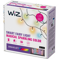 WiFi Smart LED Fairy Light Ljusslinga