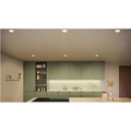 Slim Downlight L 170mm White and Color Ambiance Vit 1-pack