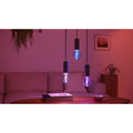Lightguide Globe 95mm E27 White and Color Ambiance