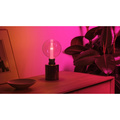 Lightguide Globe Large 125mm E27 White and Color Ambiance