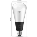 Lightguide Edison ST72 E27 White and Color Ambiance
