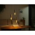 Lightguide Edison ST72 E27 White and Color Ambiance