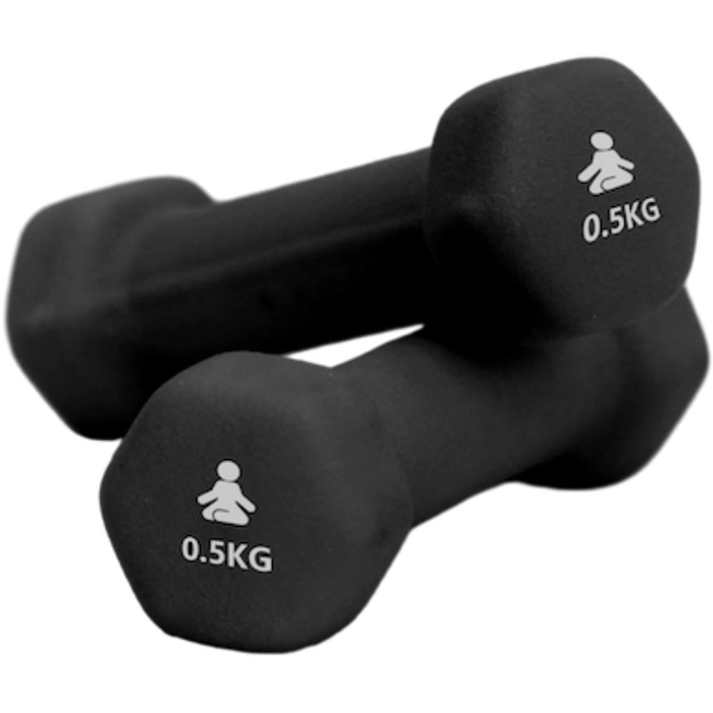 Dumbbells Premium 2 x 0.5 kg