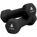 Dumbbells Premium 2 x 0.5 kg