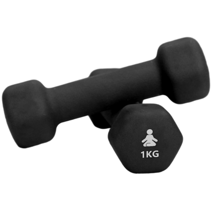 Dumbbells Premium 2 x 1 kg