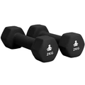 Dumbbells Premium 2 x 2 kg
