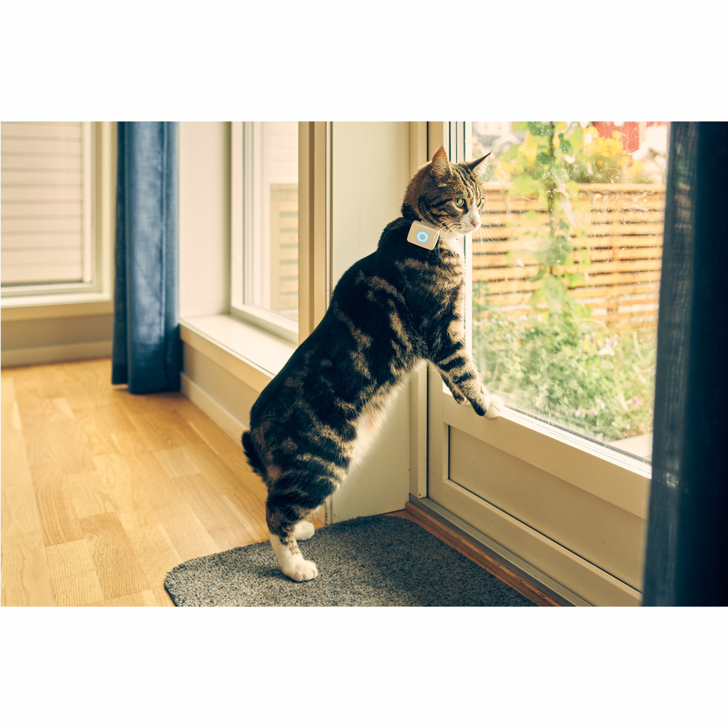 Lilcat 2 GPS-Tracker för Katter