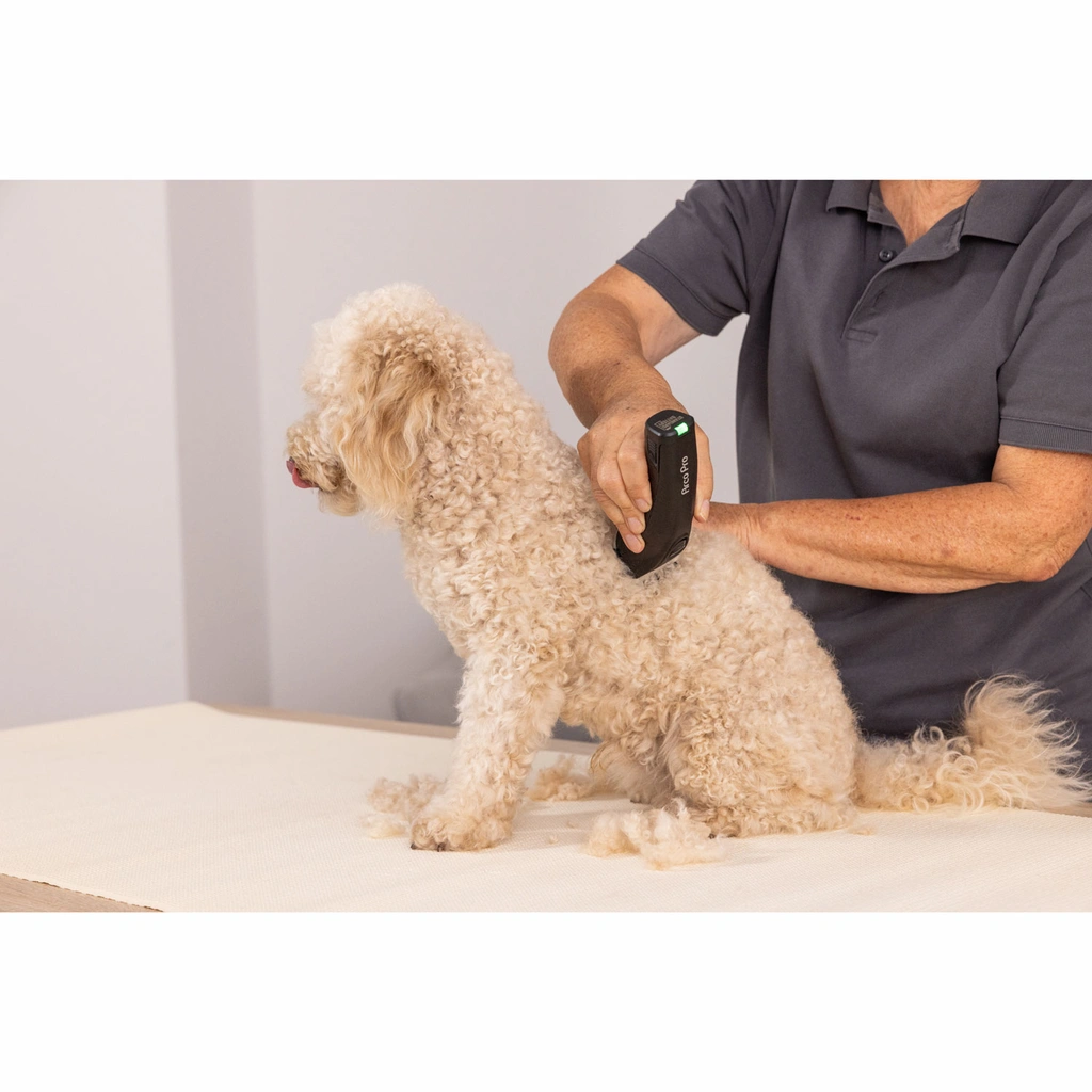 Sladdlösa ArcoPro Clipper