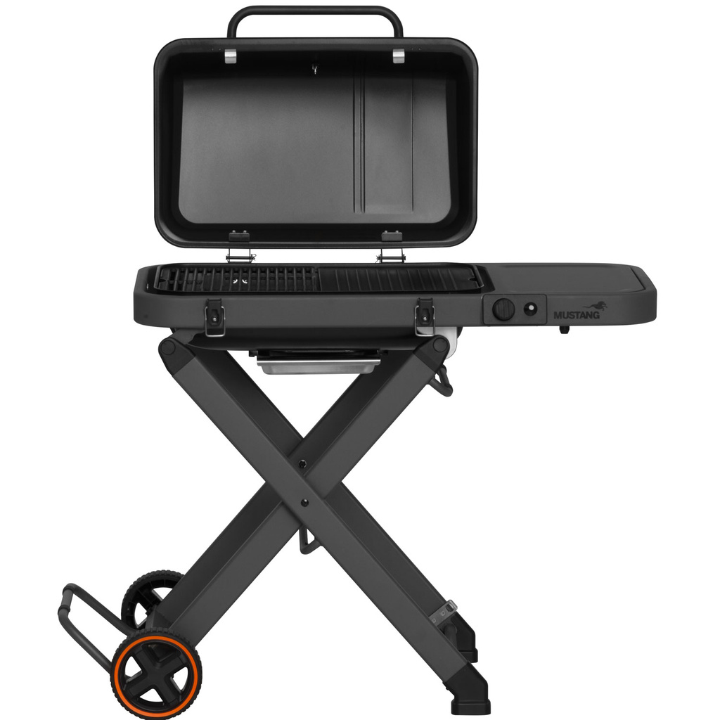 Gasolgrill Fold
