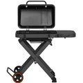 Gasolgrill Fold