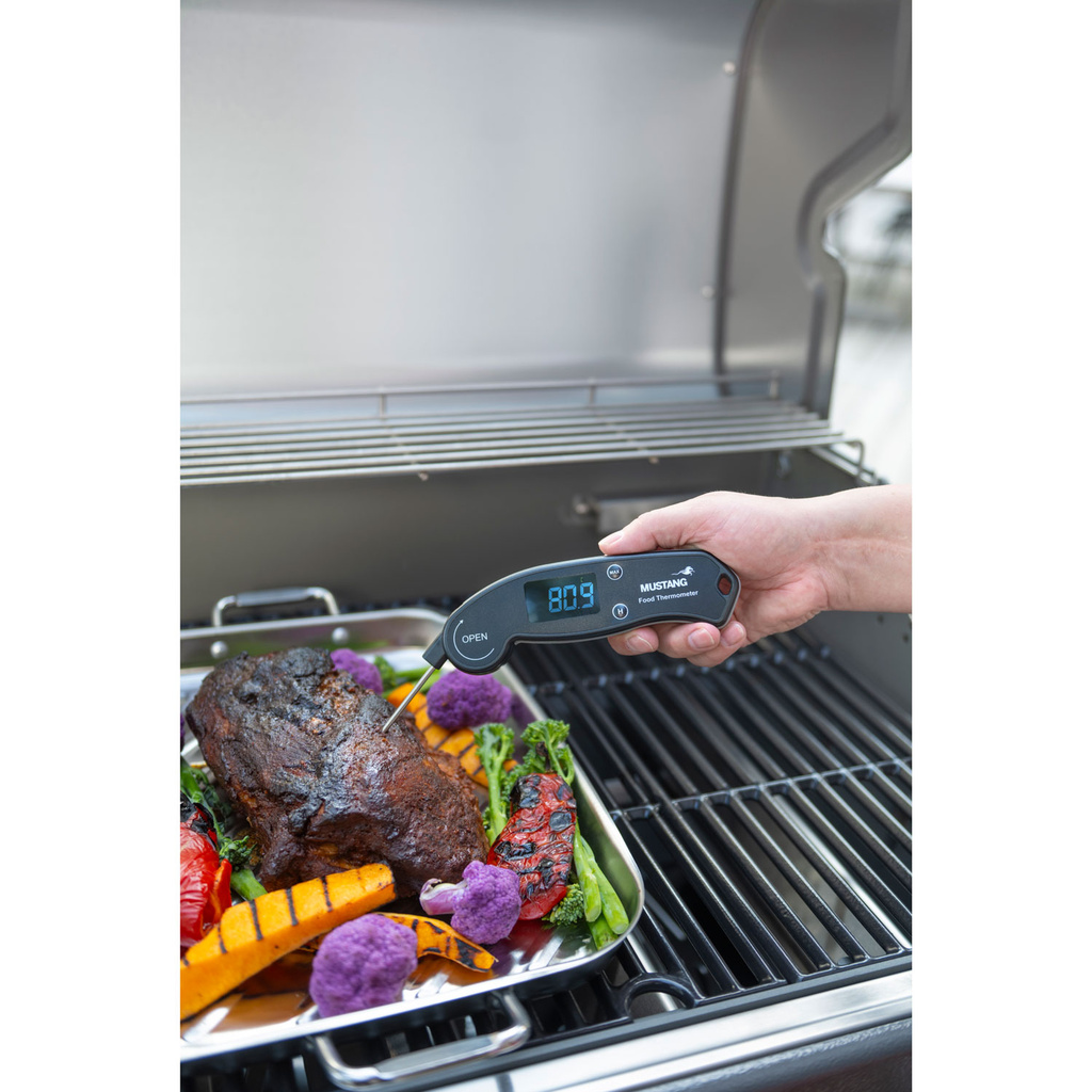 Snabbavläsande Termometer