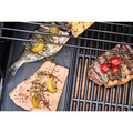 Gasolgrill Professional POWER EDITION 3       140984
