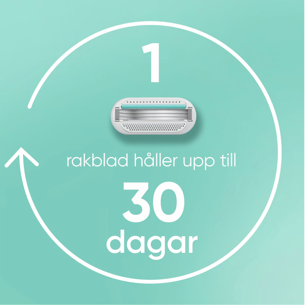 Rakhyvel Smooth Sensitive Pink + 2st rakblad