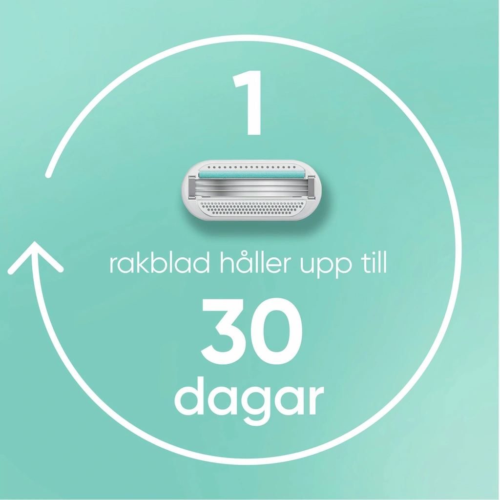 Rakhyvel Smooth Sensitive Pink + 2st rakblad