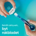 Rakhyvel Smooth + 2st rakblad
