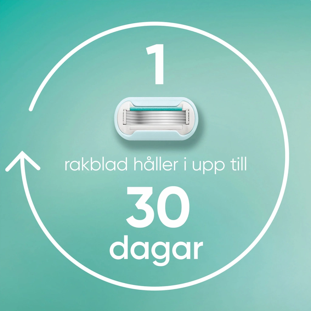 Rakhyvel Pro Smooth Sensitive + 3st rakblad