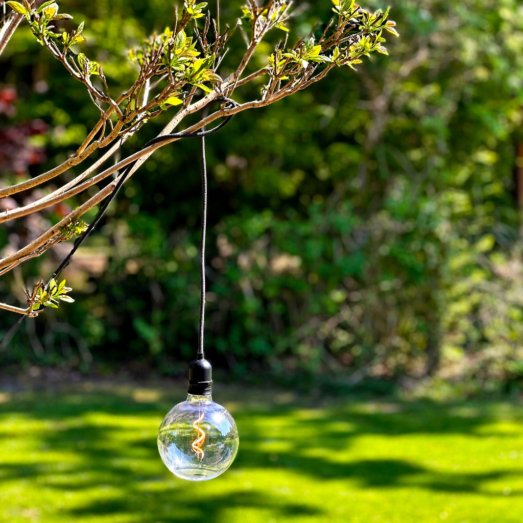 Penny Pendellampa Gravity + DecoBulb XL Varmvit