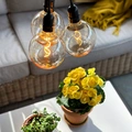 Penny Pendant lamp Gravity + DecoBulb XL Vintage