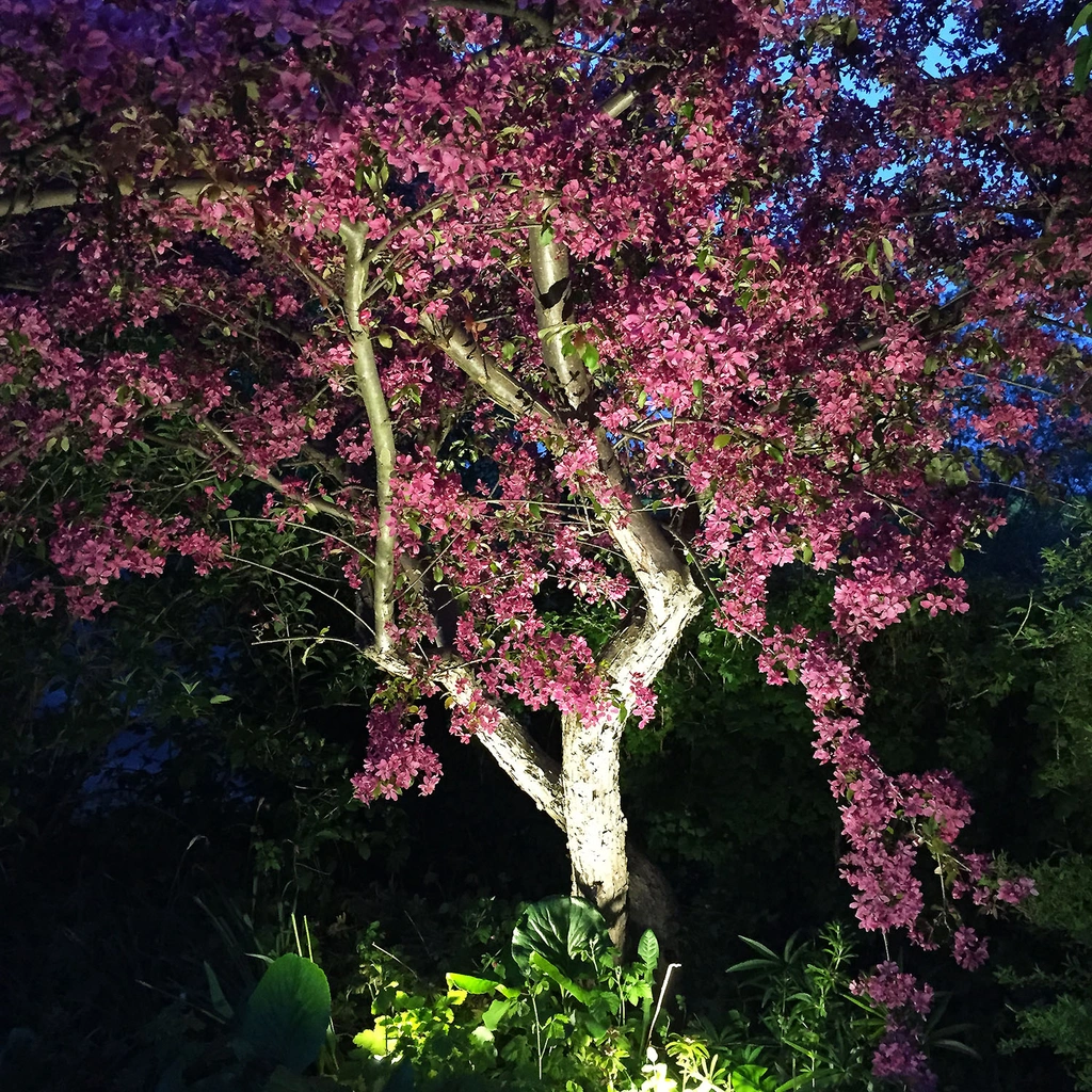Luna Trädgårdsspot 350 lm 5W 35° Grå