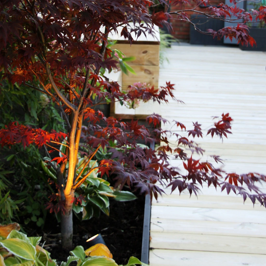 Luna Startpaket 2 x Trädgårdsspot Grå