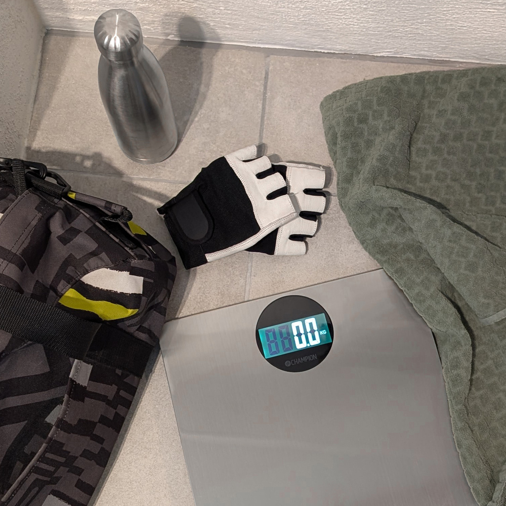 Bathroom Scale PV400 Stainless Steel