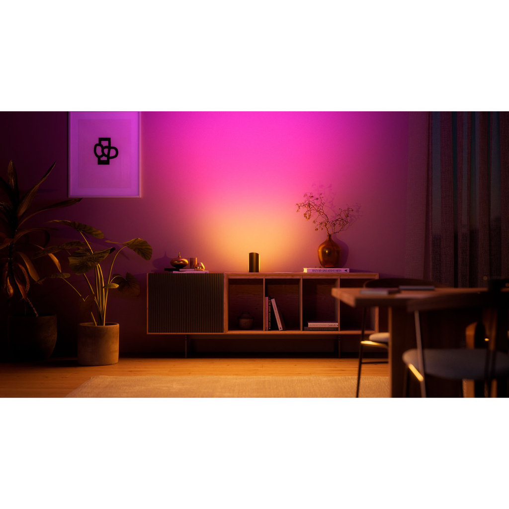 Play Wall washer White and Color Ambiance Svart