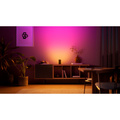 Play Wall washer White and Color Ambiance Svart