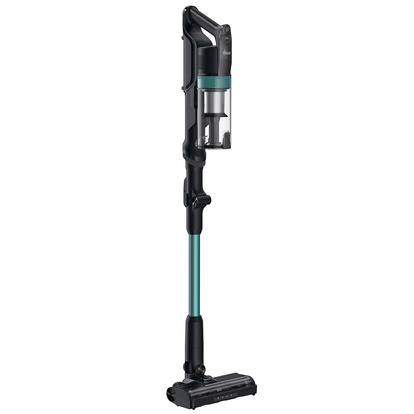 Skaftdammsugare Plus Pet Flexi 165W