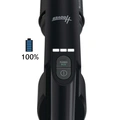 Cordless Stick Hoover HF2 Pet All Floor 165W