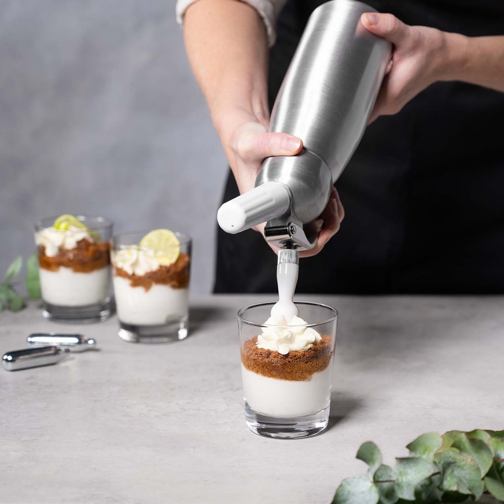 Cream whipper charger N20 (10 pcs)