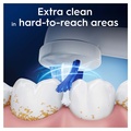iO Specialised Clean 2ct