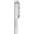 iPhone 17 Pro Max 256GB Silver
