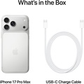 iPhone 17 Pro Max 256GB Silver
