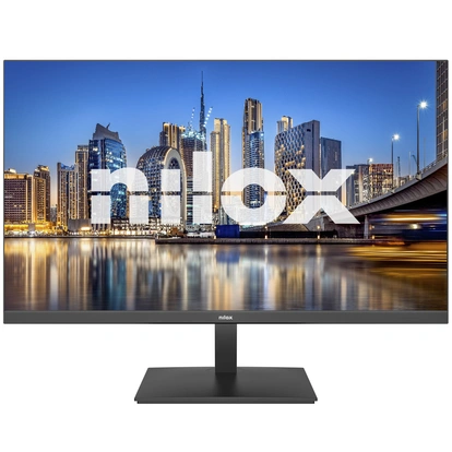 Monitor 24” FHD IPS 100Hz 4ms