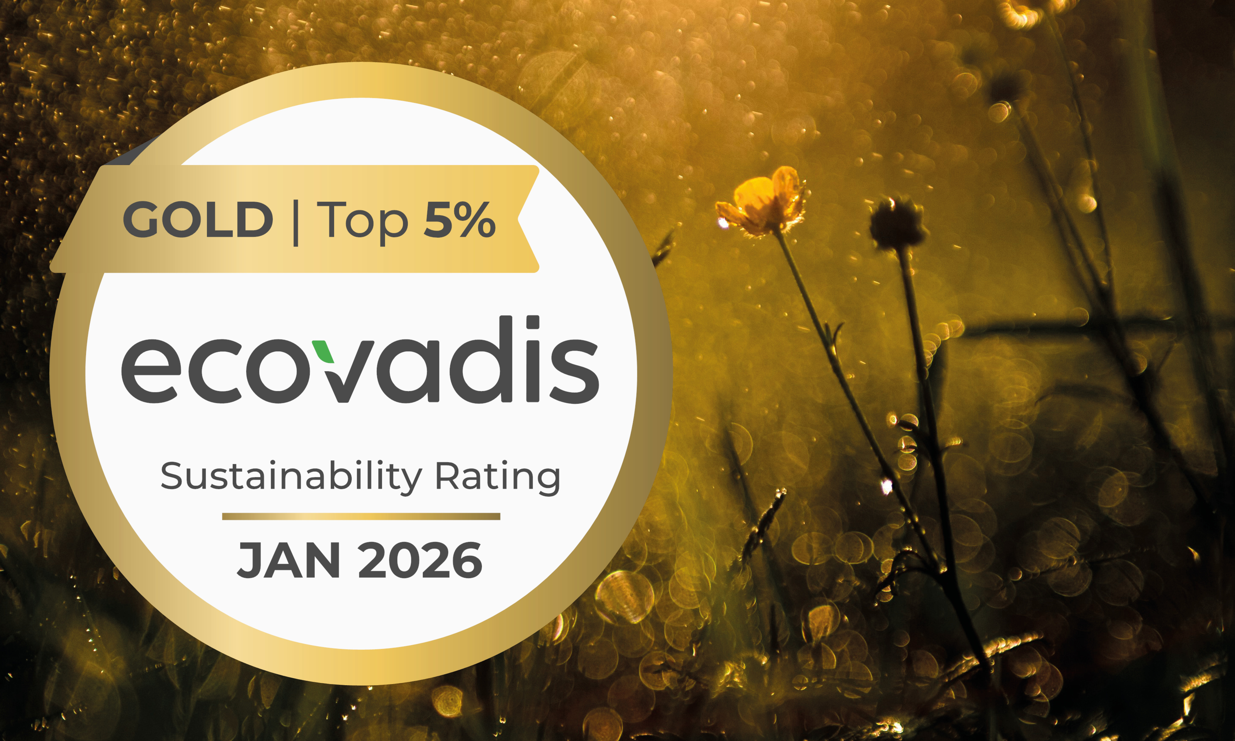 EcoVadis Gold